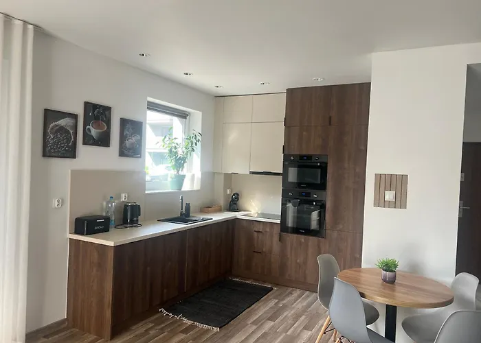 Duzy 3 Park Apartment *