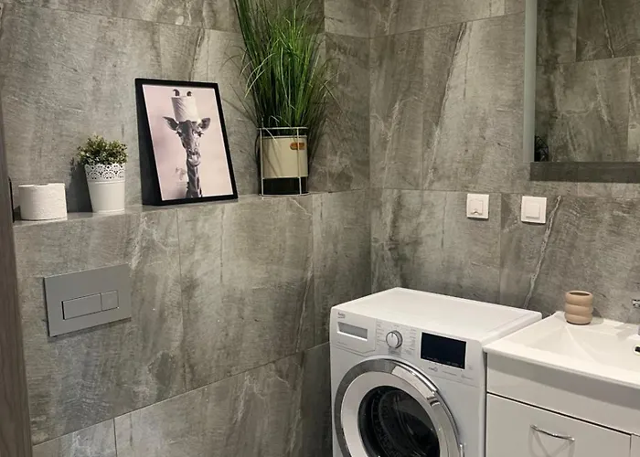 アパート Duzy 3 Park オストルフ・ビエルコポルスキ